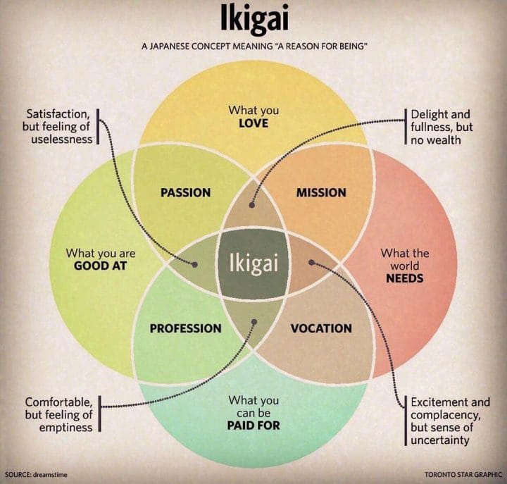 ikigai concept